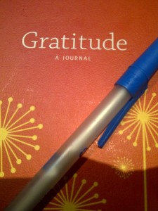 Gratitude-journal& pen