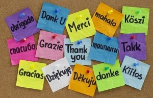 In every language it's the same... Gratitude is LOVE in Action!