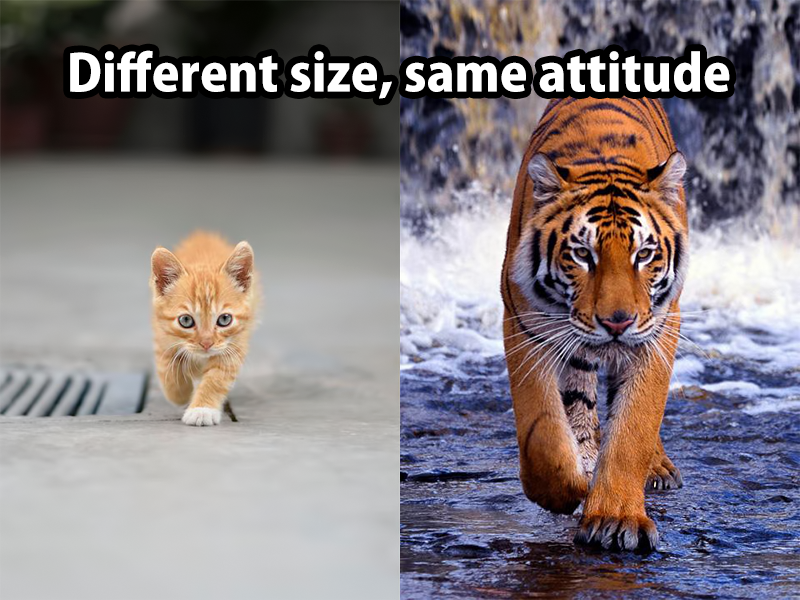 It’s the attitude not size that counts